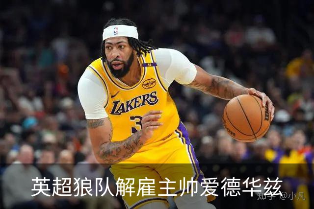 英超狼队解雇主帅爱德华兹
